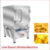 LIVE STREAM DHOKLA MACHINE, 12 PLATE