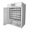 AUTOMATIC 200 CAPACITY METAL BODY INCUBATOR