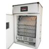 AUTOMATIC 600 EGG CAPACITY METAL BODY INCUBATOR