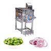 2 HP SEMI AUTOMATIC STAINLESS STEEL CHILLY ONION CUTTER