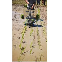 KISTON MANUAL RICE TRANSPLANTER 2 ROWS