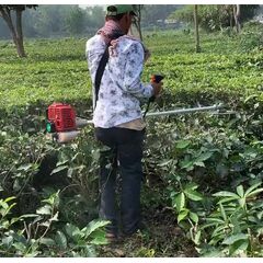 TEA PRURNER BRUSH CUTTER WITH 90 DEGREE GEAR & 100T BLADE, 4 STROKE