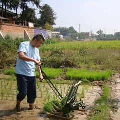 ADVANCE QUALITY TWO ROW RICE TRANSPLANTER