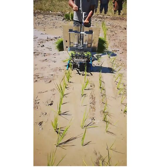 KISTON MANUAL RICE TRANSPLANTER 2 ROWS
