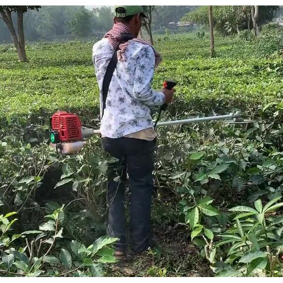 TEA PRURNER BRUSH CUTTER WITH 90 DEGREE GEAR & 100T BLADE, 4 STROKE