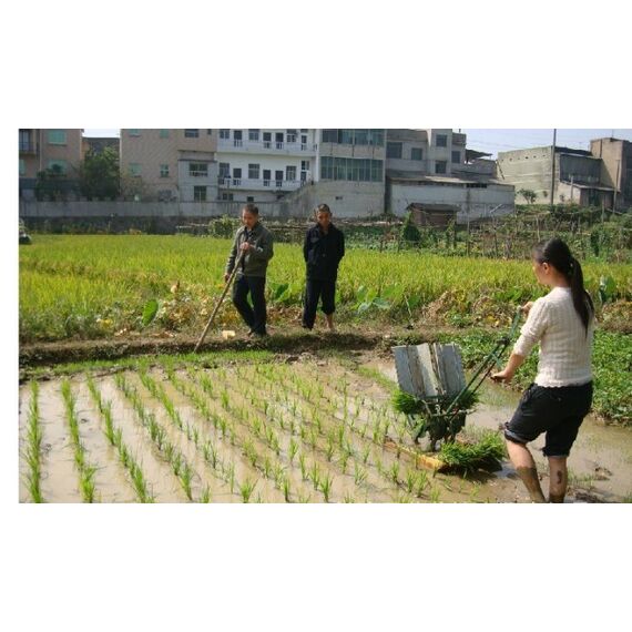 TWO ROW MANUAL RICE TRANSPLANTER