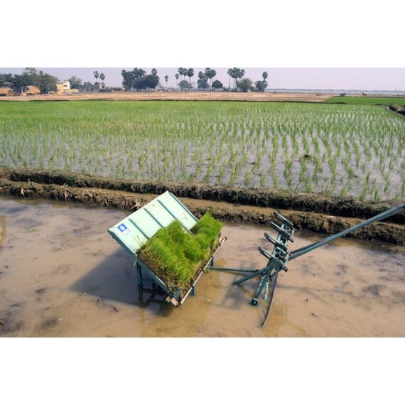 MANUAL PADDY TRANSPLANTER 4 ROWS