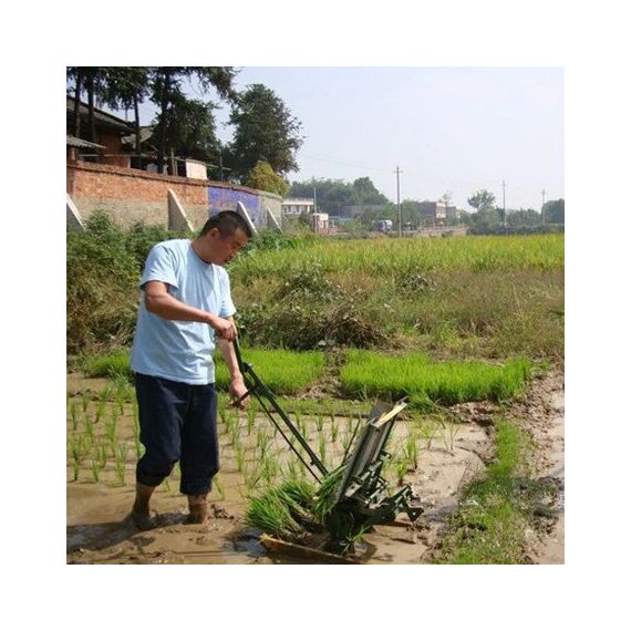 TWO ROW MANUAL RICE TRANSPLANTER
