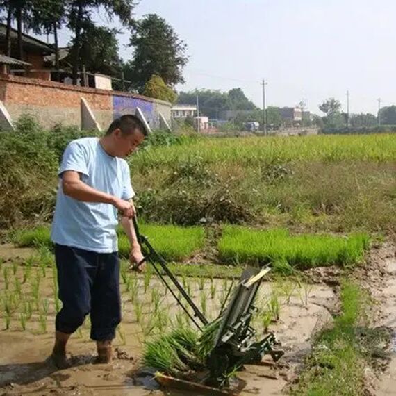 MANUALLY OPERATED RICE TRANSPLANTER 2 ROWS