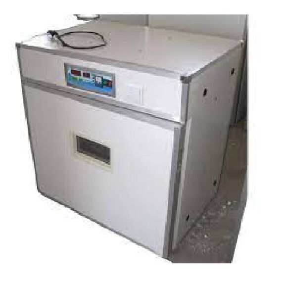 100 CAPACITY METAL BODY INCUBATOR