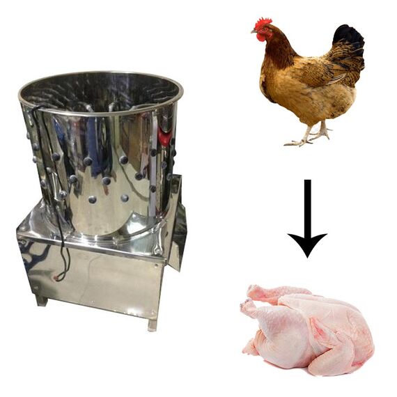 5 BIRDS CHICKEN FEATHER CLEANING MACHINE WITH 1 HP MOTOR