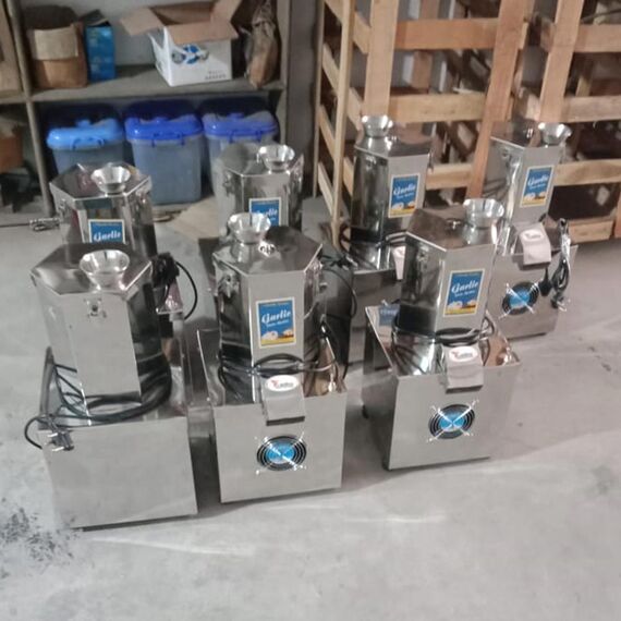 1 HP AUTOMATIC SS GARLIC PEELER MACHINE