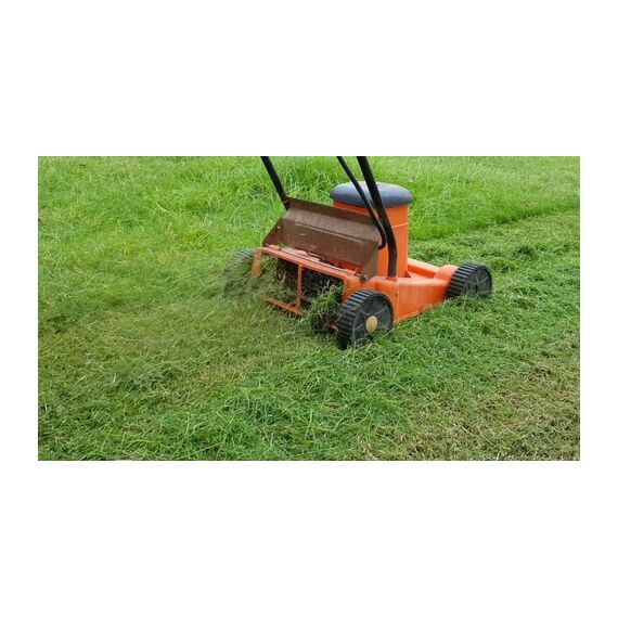 ELECTRIC ROTARY LAWN MOWER 1 HP 12 INCHES