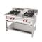 TWO BURNER GAS RANGE