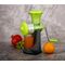 FRUIT & VEGETABLE STEEL HANDLE JUICER