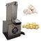 AUTOMATIC SS GARLIC PEELER MACHINE, 1 HP