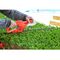SINGLE PHASE ELECTRIC HEDGE TRIMMER 220V