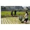 ADVANCE QUALITY TWO ROW RICE TRANSPLANTER