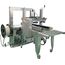 SEMI-AUTOMATIC SMALL CARTOON SEALER