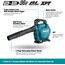 MAKITA BRUSHLESS BLOWER & VACUUM MACHINE