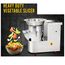 2HP JUMBO VEGETABLE CUTTING MACHINE 500-600KG/HR