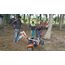 HUSQVARNA TF-230 PETROL POWER WEEDER 4.7HP 4 STROKE