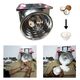 BIG SIZE COCONUT SCRAPER MACHINE WITH 0.25HP MOTOR