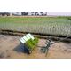 MANUAL PADDY TRANSPLANTER 4 ROWS