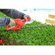 SINGLE PHASE ELECTRIC HEDGE TRIMMER 750W