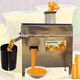 MANGO JUICER MACHINE, 1.5 HP, 200 KG