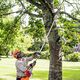 PETROL POLE PRUNER 27 CC 20 FEET