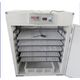 AUTOMATIC 200 CAPACITY METAL BODY INCUBATOR