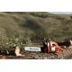 HUSQVARNA 61 CHAINSAW MACHINE 20 INCH